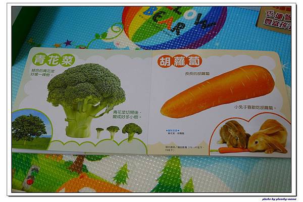 巧連智體驗教具+寶寶版 (11)