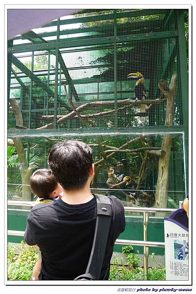 壽山動物園 (32)