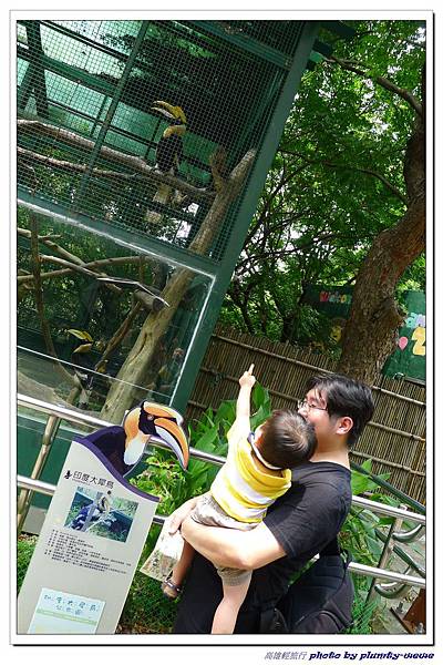壽山動物園 (33) 壽山動物園 (33)