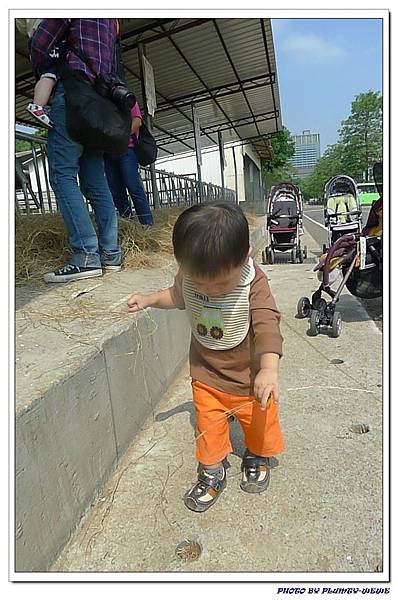 小書蟲PG-in 台中西屯東海牧場 (6)