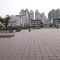 P1160584.JPG