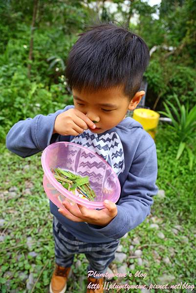 花泉農場-5小動物近距離接觸 (17).JPG