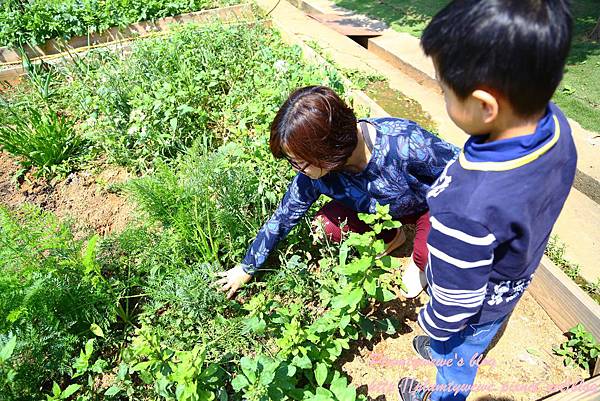 U40A9105.JPG U40A9105.JPG