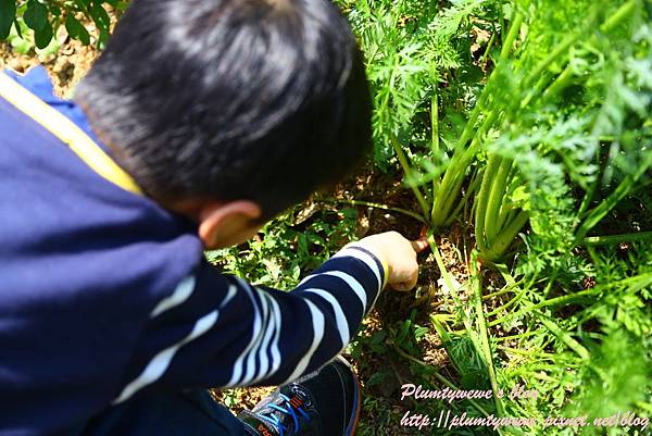 U40A9109.JPG U40A9109.JPG