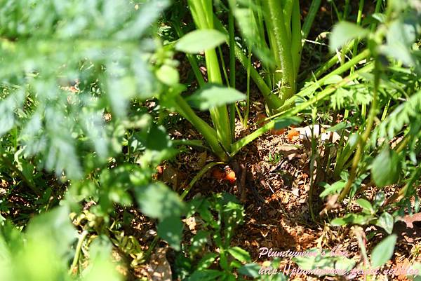 U40A9115.JPG U40A9115.JPG