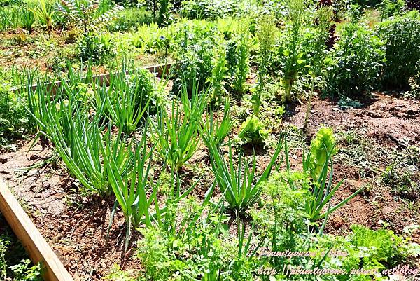 U40A9114.JPG U40A9114.JPG