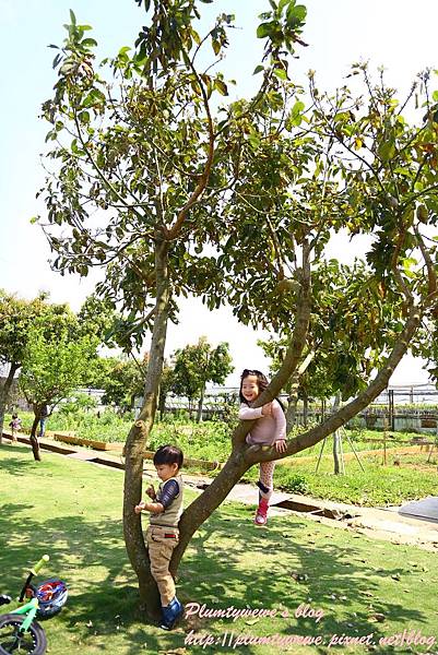 U40A9396.JPG U40A9396.JPG