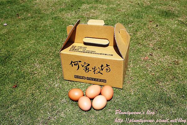 U40A9428.JPG U40A9428.JPG