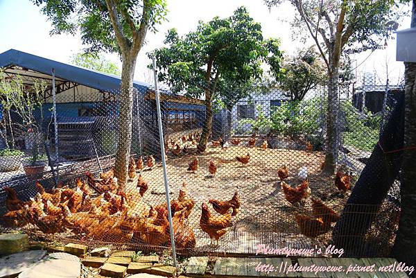 U40A9101.JPG U40A9101.JPG