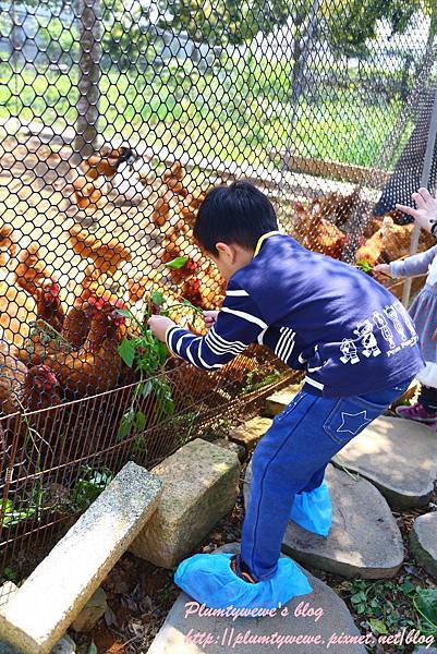 U40A9173.JPG U40A9173.JPG