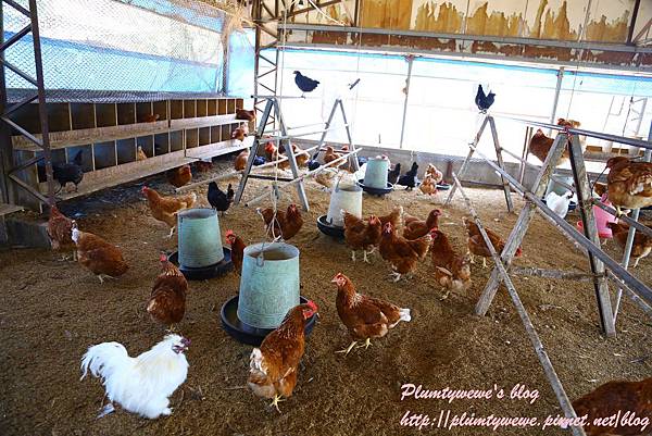 U40A9177.JPG U40A9177.JPG