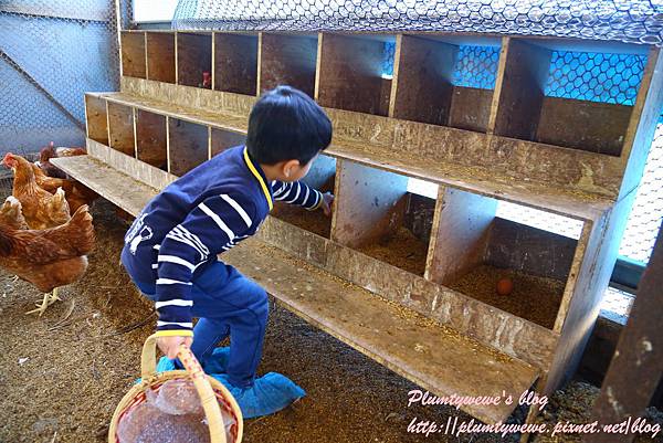 U40A9180.JPG U40A9180.JPG