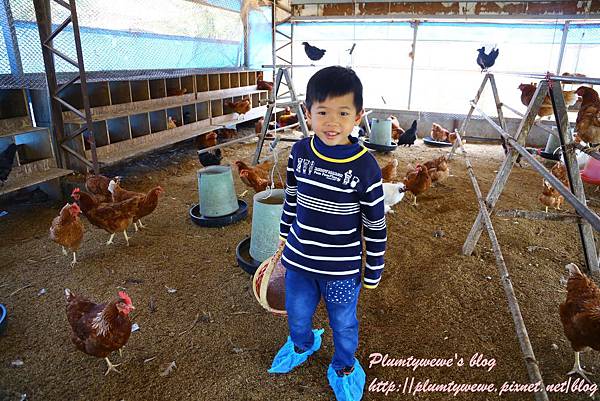 U40A9178.JPG U40A9178.JPG