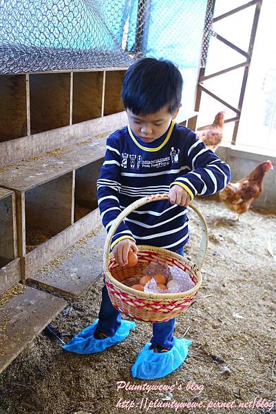 U40A9208.JPG U40A9208.JPG