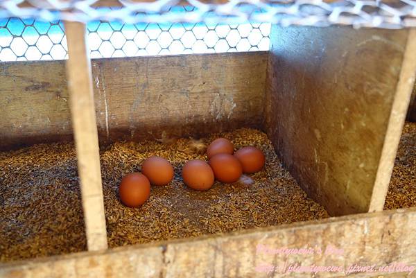 U40A9212.JPG U40A9212.JPG