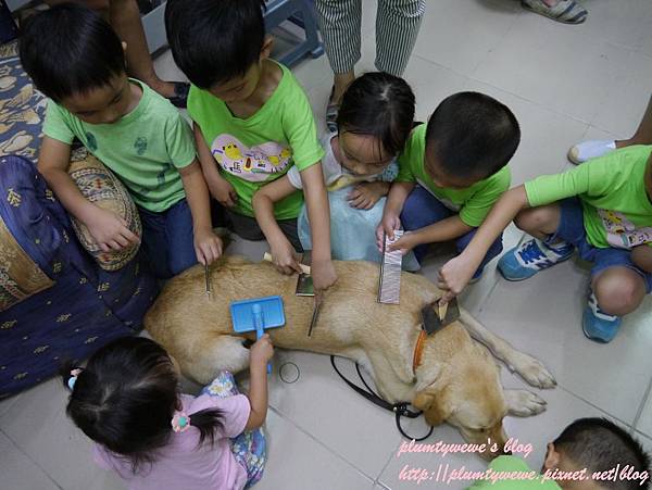 台中親子活動 認識導盲犬 對視障者的關懷與尊重 媽咪拜mamibuy