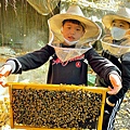 2021117 采蜂林_210117_72.jpg
