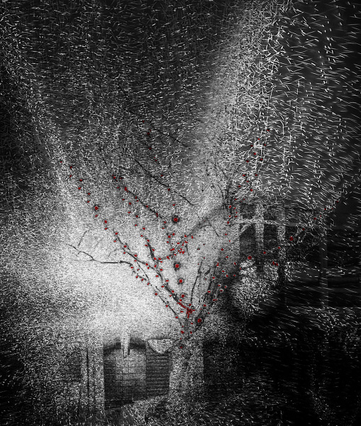 85(150dpi) 85(150dpi)