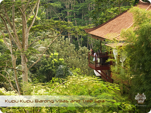 Kupu Kupu Barong Resort and Tree Spa Exterior Villa