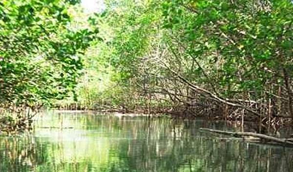 巴里島藍夢島紅樹林小艇