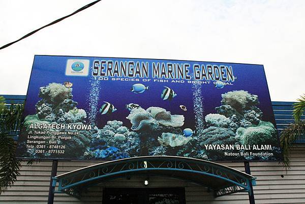 海生館Serangan Marine Garden (1).JPG