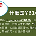 yb100_2