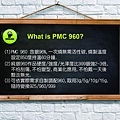 pmc 960.jpg