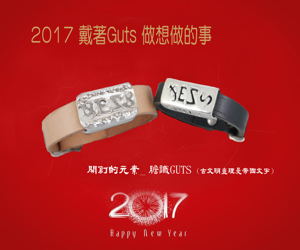 2017 happy new year.jpg