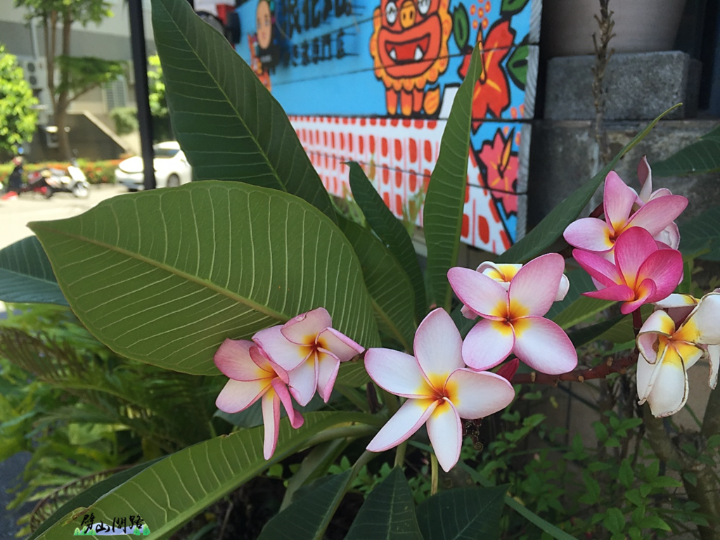 圖片3.png 圖片3.png