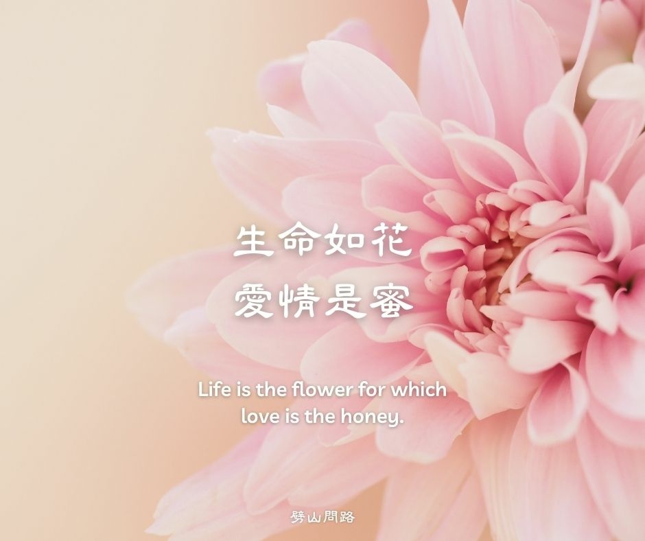 早安 (6).jpg 早安 (6).jpg