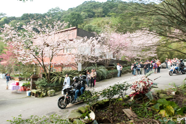 10幾台重機車隊經過轟隆隆(2011淡水天元宮探花況).jpg