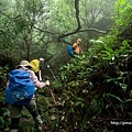 繼續蜿蜒(觀音山硬漢嶺).jpg