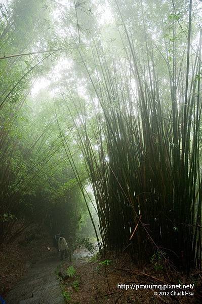 來個臥虎藏龍吧(觀音山硬漢嶺).jpg