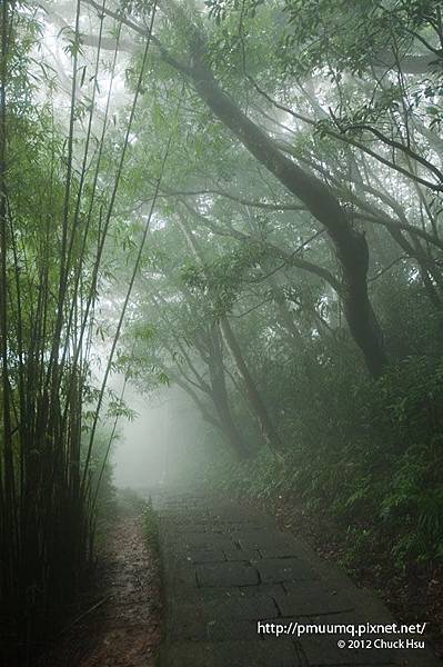 覺得白蛇跟小青要出來了(觀音山硬漢嶺).jpg