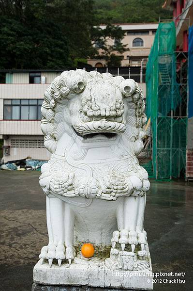 觀音山凌雲禪寺的石獅子有桔子吃(觀音山硬漢嶺).jpg