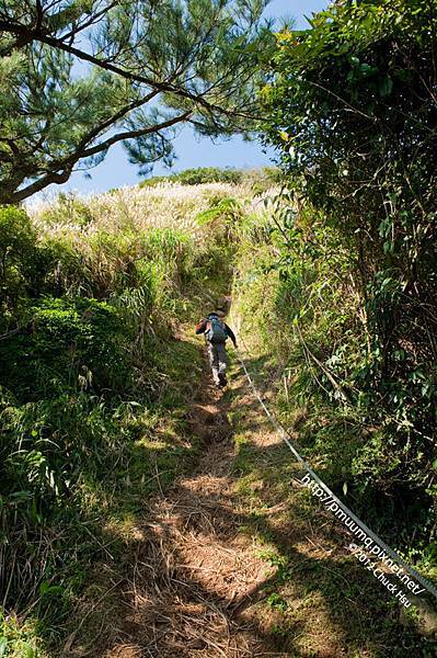 大屯山群峰裡就屬西峰這一段最險峻 這天我們攀繩陡上攻頂後 再原路抖下去爬南峰 回來腿好抖~~~