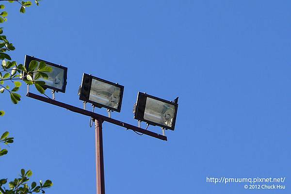 鳥兒早起是被早起路跑的人吵醒的ＸＤ