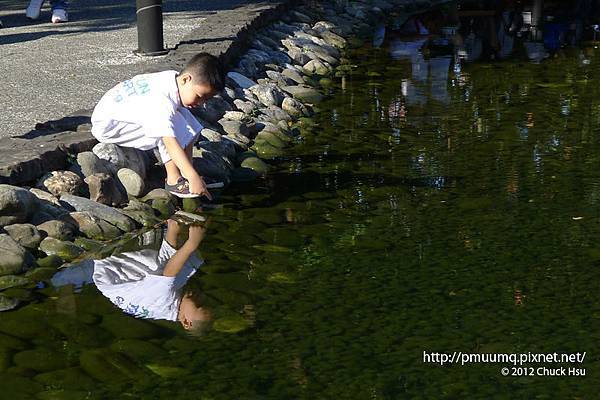 市府公園水池玩水的小朋友