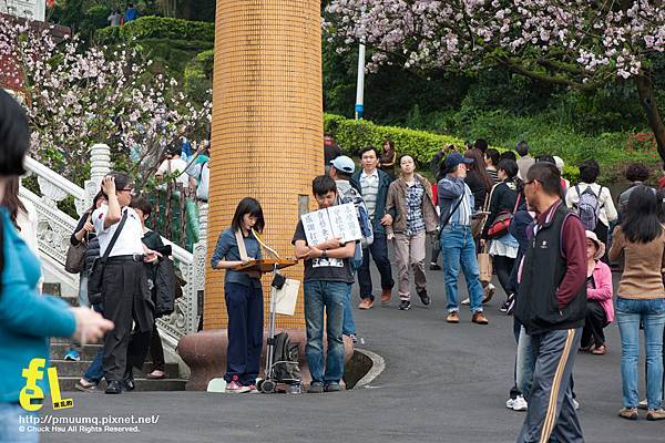 2013天元宮櫻花季_024