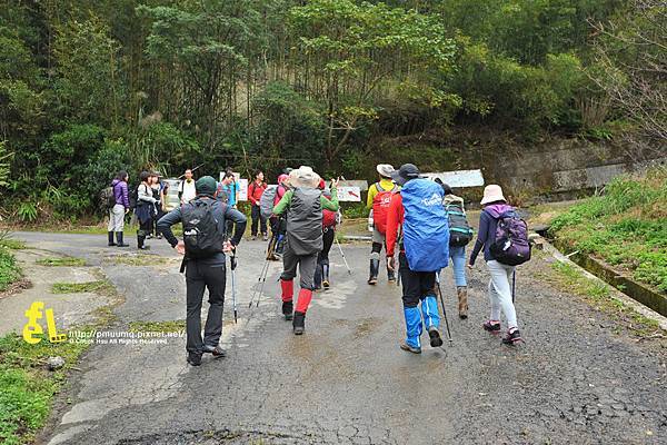 北插天山與山毛櫸