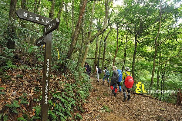 北插天山與山毛櫸