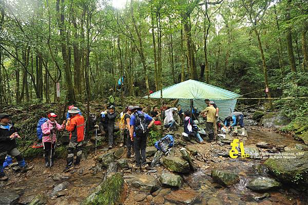 北插天山與山毛櫸