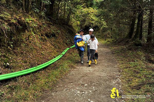 20131110深秋的太平山台灣山毛櫸國家步道散步趣_006.jpg 20131110深秋的太平山台灣山毛櫸國家步道散步趣_006.jpg