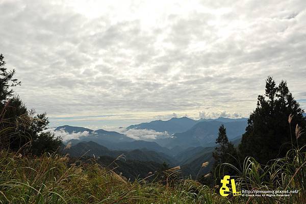 20131110深秋的太平山台灣山毛櫸國家步道散步趣_010.jpg 20131110深秋的太平山台灣山毛櫸國家步道散步趣_010.jpg