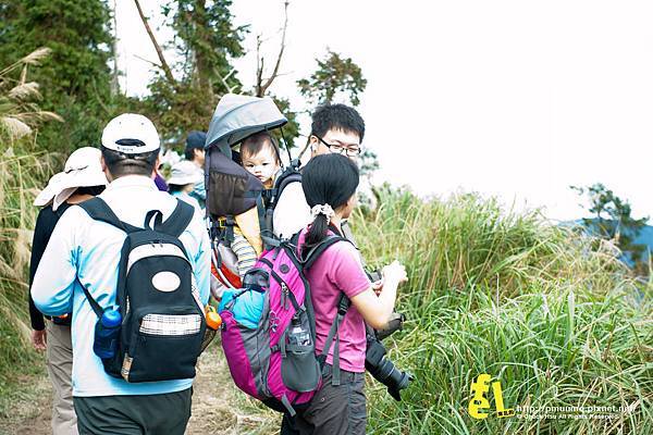 20131110深秋的太平山台灣山毛櫸國家步道散步趣_023.jpg 20131110深秋的太平山台灣山毛櫸國家步道散步趣_023.jpg