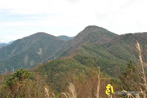20131110深秋的太平山台灣山毛櫸國家步道散步趣_025.jpg 20131110深秋的太平山台灣山毛櫸國家步道散步趣_025.jpg