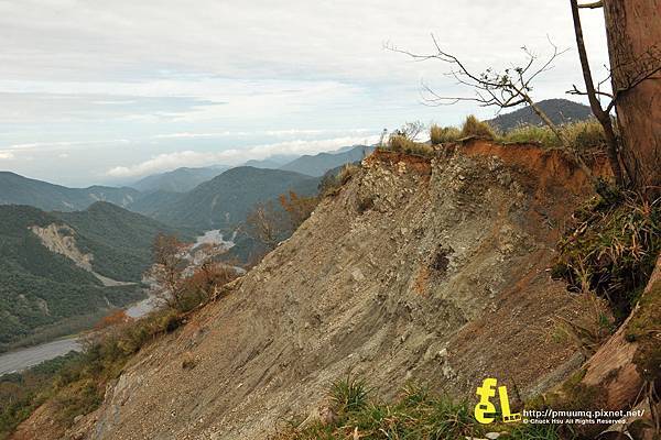 20131110深秋的太平山台灣山毛櫸國家步道散步趣_033.jpg 20131110深秋的太平山台灣山毛櫸國家步道散步趣_033.jpg