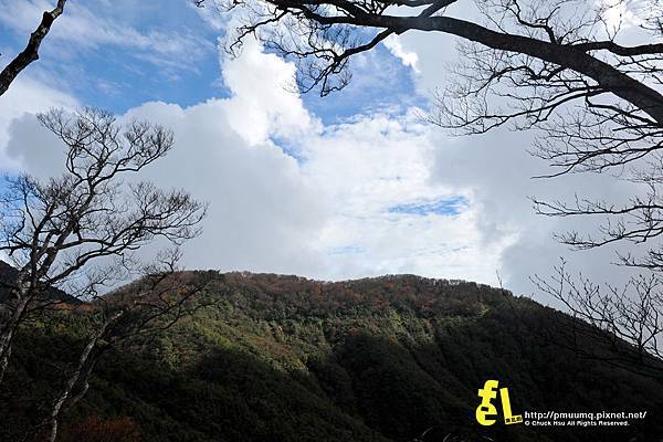 20131110深秋的太平山台灣山毛櫸國家步道散步趣_058.jpg 20131110深秋的太平山台灣山毛櫸國家步道散步趣_058.jpg
