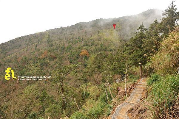 20131110深秋的太平山台灣山毛櫸國家步道散步趣_073.jpg 20131110深秋的太平山台灣山毛櫸國家步道散步趣_073.jpg