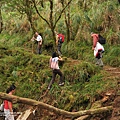 20131110深秋的太平山台灣山毛櫸國家步道散步趣_076.jpg